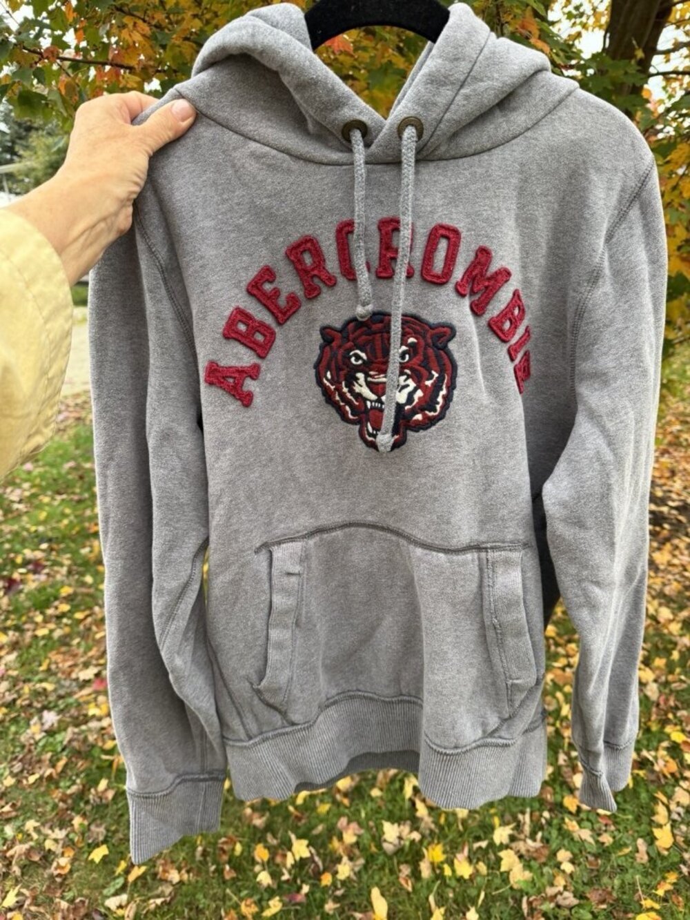 Vintage Y2K Abercrombie & Fitch gray embroidered logo TIGER hoodie retro L - Picture 2 of 8